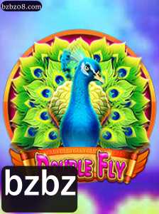 Introdução ao Jogo DoubleFly