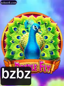 Introdução ao Jogo DoubleFly